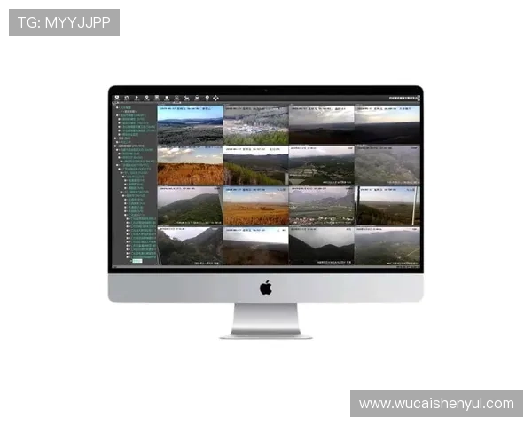 深入讲解视讯下载流程,让你轻松应对不同视频网站的下载难题